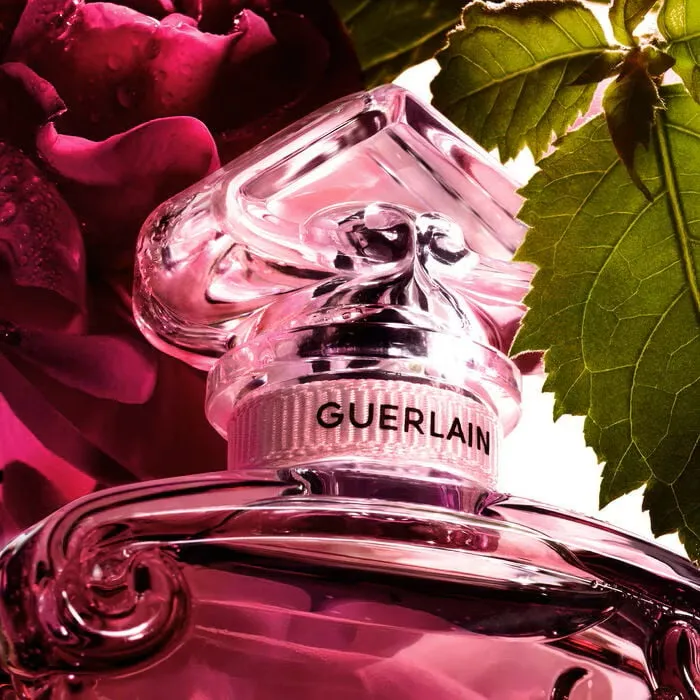 La Petite Robe Noire Eau de Parfum Absolue
