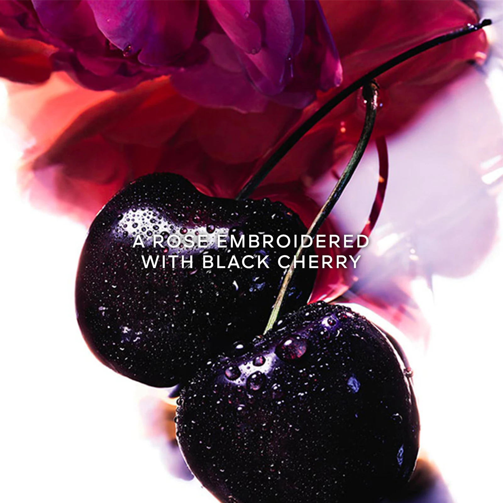 La Petite Robe Noire by Guerlain Women EDP Absolue, 100ml - Image 6