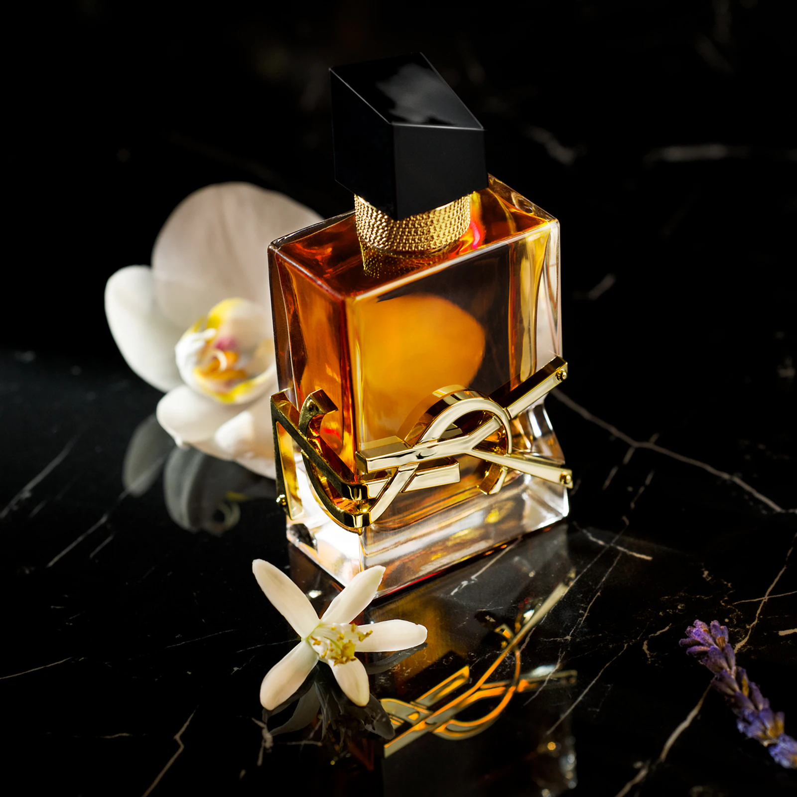 Libre Intense by Yves Saint Laurent Women EDP, 90ml - Image 3