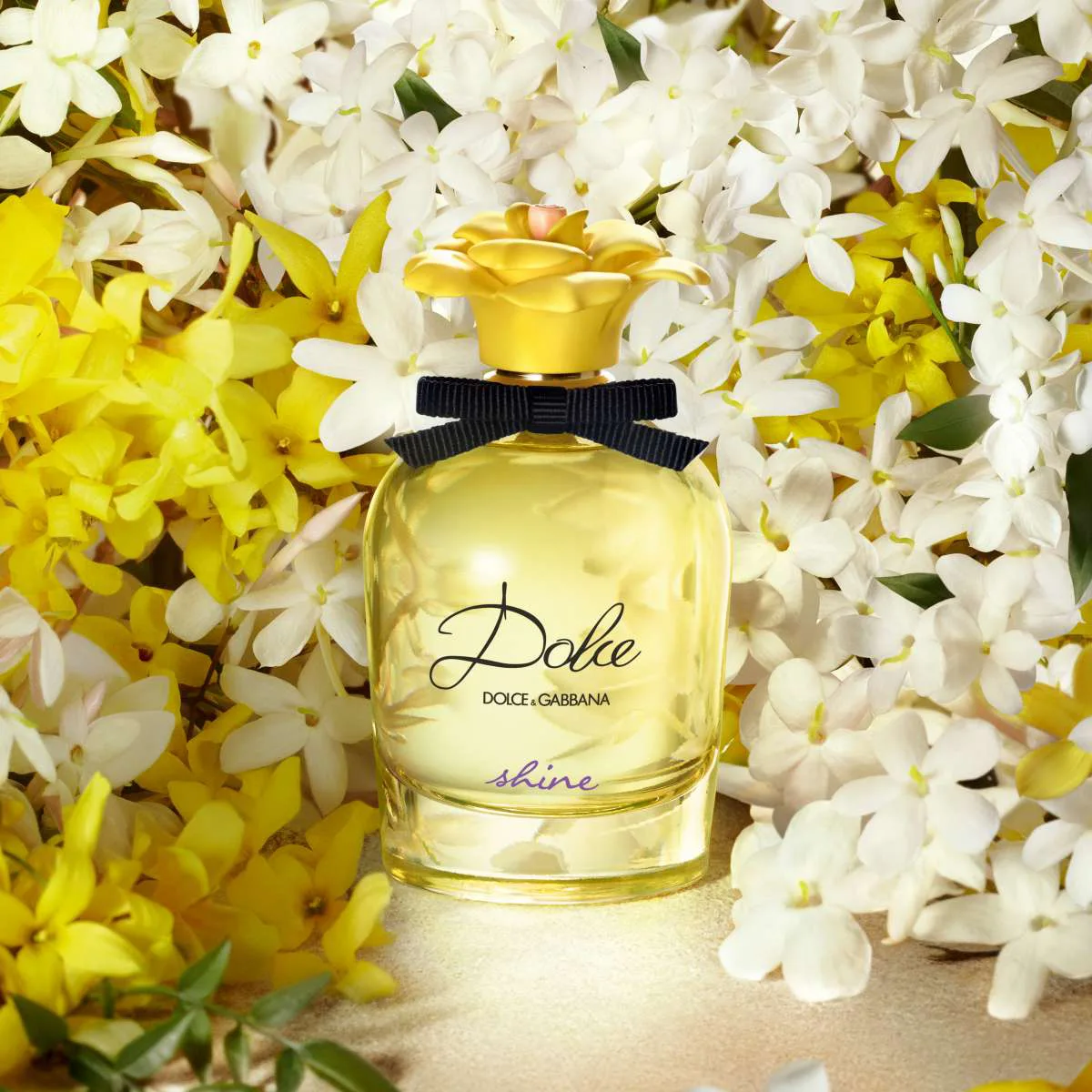 Dolce & Gabbana Dolce Shine